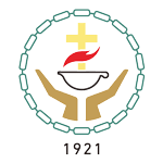 ambulanceconan.com